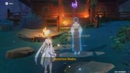 Interacting with a "Mysterious Shadow" in Genshin Impact (image via ZaFrostPet)